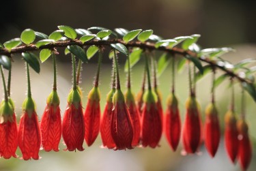 佛山南海区1私人快速借钱网，轻松解决资金难题