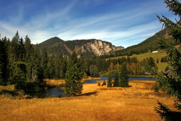 佛山南海区1民间私贷攻略：揭秘低成本借贷的秘密