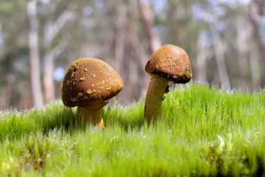 佛山南海区1私人老板放款：轻松融资的秘密通道